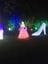 Hunter Valley Christmas Lights Spectacular Image -5b3abbe4622ef